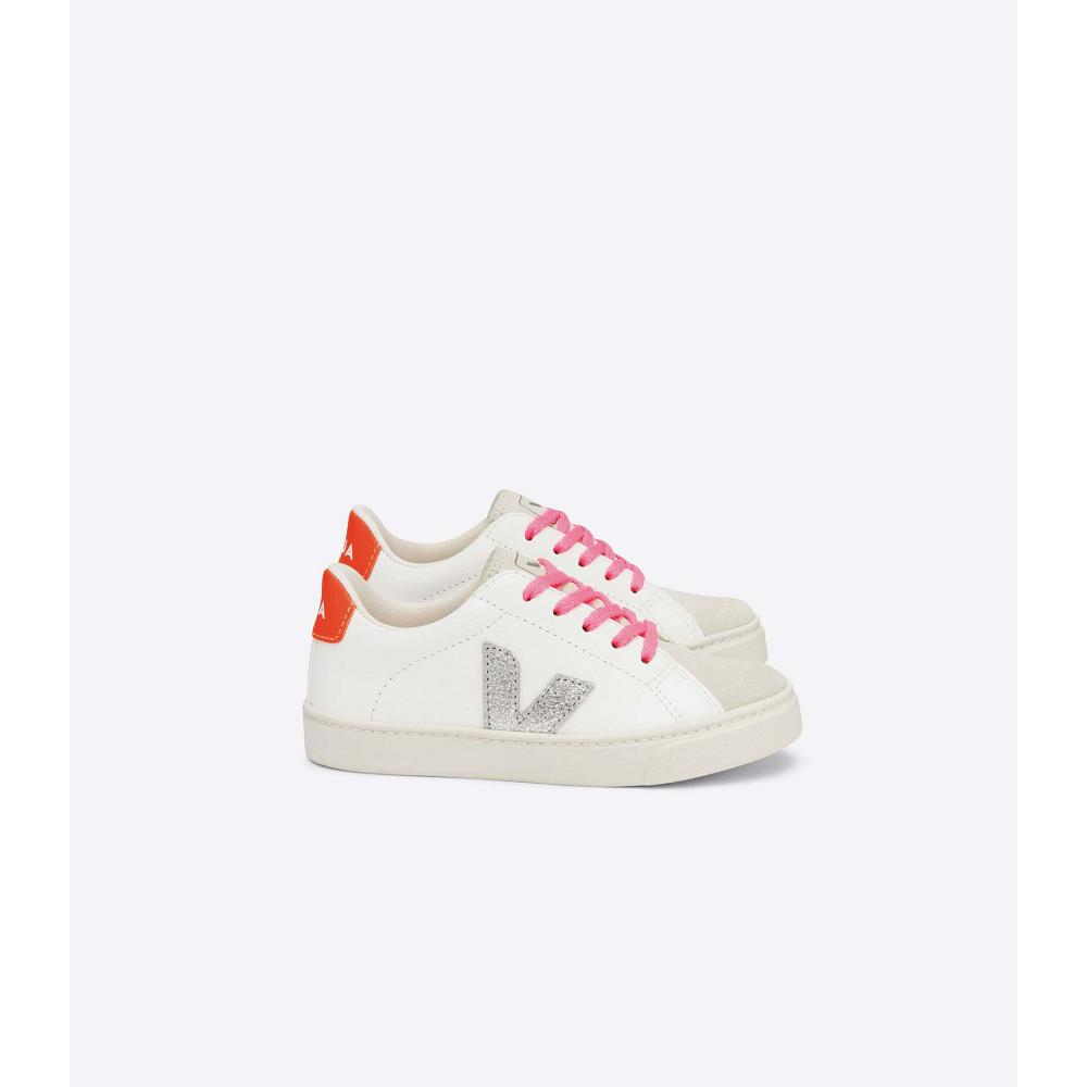 Veja ESPLAR LACES CHROMEFREE Sko Barn White/Silver | NO 735YXF